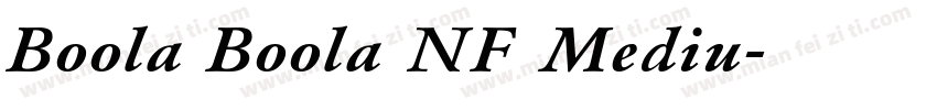 Boola Boola NF Mediu字体转换